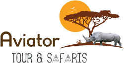 Site logo